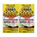 【第2類医薬品】マスラックゴールド 384錠 【2個セット】(4987076505041-2)