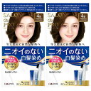 サロン ド プロ 無香料ヘアカラー 早染めクリーム(白髪用)4Bやや深みのあるベージュブラウン【2個セット】(4904651124541-2)