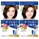 サロン ド プロ 無香料ヘアカラー 早染めクリーム(白髪用)5B深みのあるベージュブラウン【2個セット】(4904651124558-2)