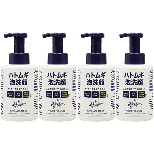 メンズ ハトムギ泡洗顔 400ml【4個セット】(4573500873017-4)