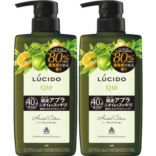 【2個セット】ルシード 薬用スカルプデオシャンプー ハーバルシトラス 450ml(4902806127478-2)