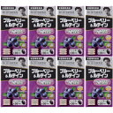 ブルーベリー&ルテイン 60粒【8個セット】(4562193141831-8)