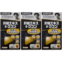 肝臓エキス&ウコン 90粒【3個セット】(4562193141916-3)