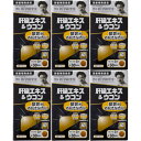 肝臓エキス&ウコン 90粒【6個セット】(4562193141916-6)