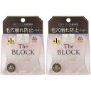 【2個セット】サナ 毛穴パテ職人 毛穴崩れブロックパウダー ピンクベージュ 13g(4964596702129-2)
