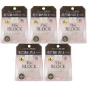 【5個セット】サナ 毛穴パテ職人 毛穴崩れブロックパウダー ピンクベージュ 13g(4964596702129-5)(4)