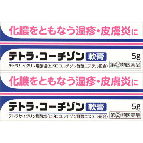 【第 2 類医薬品】テトラ・コーチゾン軟膏 5g【2個セット】【メール便】 4987014030703-2 