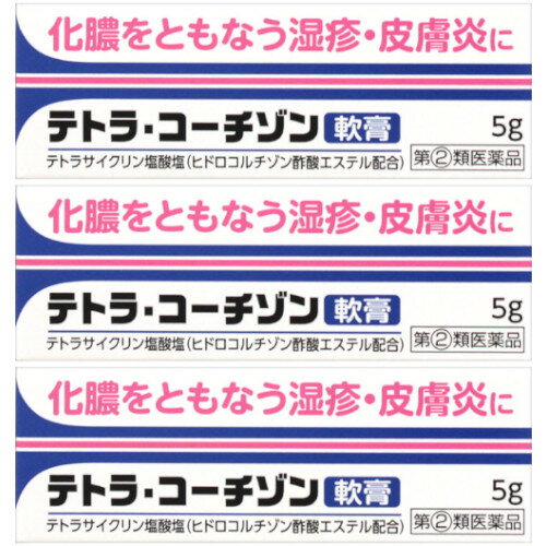 【第 2 類医薬品】テトラ・コーチゾン軟膏 5g【3個セット】【メール便】 4987014030703-3 