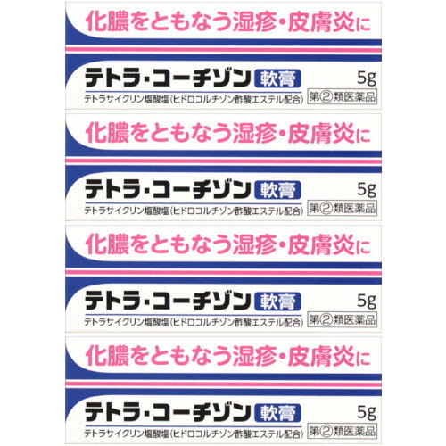 【第 2 類医薬品】テトラ・コーチゾン軟膏 5g【5個セット】【メール便】 4987014030703-5 