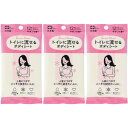 【3個セット】SRT女性用流せるボディシートサボン 12枚入【メール便】(4573177599227-3)
