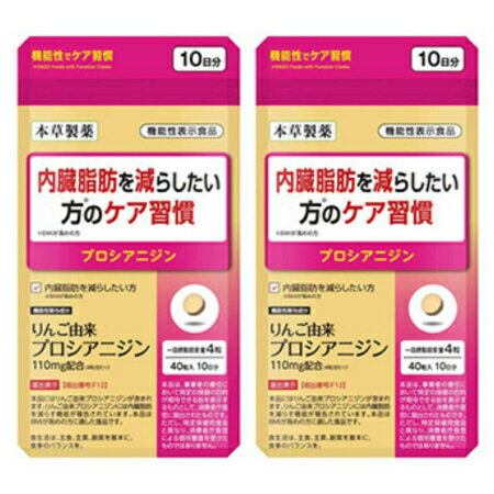 本草製薬 内臓脂肪を減らしたい方のケア習慣 約10日分(40粒)【2個セット】【メール便】(4987334737191-2)