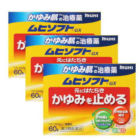 【第3類医薬品】かゆみ肌の治療薬 ムヒソフトGX60g【3個セット】(4987426002008-3)