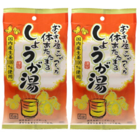 【2個セット】おくすり屋さんがつくったしょうが湯 90g（15g×6袋）【メール便】(4901267220056-2)