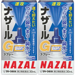 【第2類医薬品】ナザールGスプレー 30ml【2個セット】(4987316018805-2)