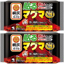 商品説明■　特徴熱いカイロ！ 高温（平均55℃）が6時間持続　＊JIS S4100の試験方法に準じて測定 寒い場所で冷めにくい＊5℃の低温環境下にて8時間、桐灰カイロはると比較 衣類に貼るカイロ ●最高温度65℃※ ●平均温度54℃※ ●持続時間8時間※ ※表示の最高温度・平均温度・持続時間は都条例にもとづく測定値ですので人体にてご使用の場合は若干の差異があります。■　表示成分鉄粉、水、活性炭、吸水性樹脂、バーミキュライト、塩類■　【広告文責】 会社名：株式会社イチワタ 　ドラッグイチワタ皆野バイパス店　ベストHBI TEL：0494-26-5213 区分：日本製・日用品 メーカー：小林製薬株式会社[日用品][温熱用具][カイロ][JAN: 4901548603790]