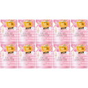 ソフティモ クレンジングフォーム(ハニーマイルド)つめかえ 170ml【10個セット】(4971710394795-10)