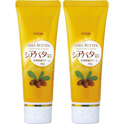 Х 塼֥ 40g2ĥåȡۡڥ᡼ء(4949176022521-2)