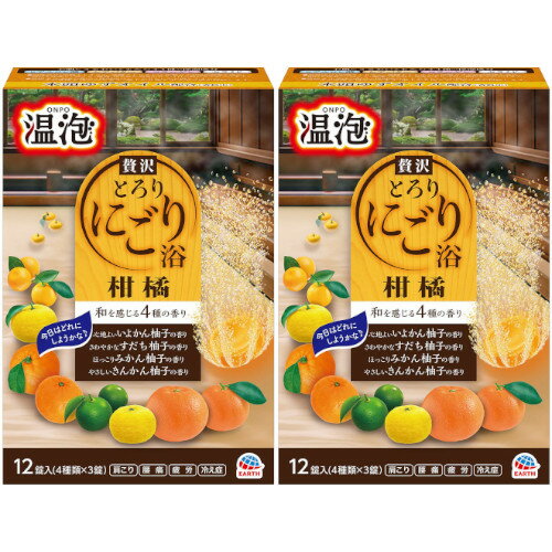 温泡 贅沢とろりにごり浴 柑橘 12錠(4種×3錠)【2個セット】(4901080209115-2)