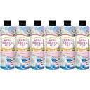 【6個セット】加湿器の除菌タイム アロマ ムスクの香り 300ml(4968909054776-6)