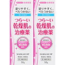 【第2類医薬品】マーカムHPローション 50g【2個セット】【定形外郵便】(4987074301485-2)