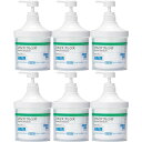 リモイス クレンズ プッシュボトル 500g【6個セット】(4900070177038-6)