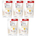 【5個セット】サナ なめらか本舗 とろんと濃ジェル NC つめかえ用 100g(4964596448843-5)(4)