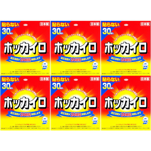 ホッカイロ 貼らないレギュラー 30個入【6個セット】(4987067826308-6)