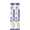 【2個セット】デンタルチェック 革命歯ブラシ ペングリップ ※色おまかせ【メール便】(4582113026529-2)