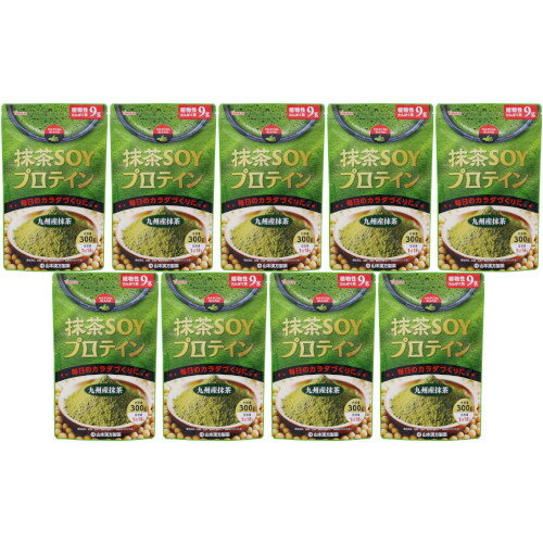 抹茶SOYプロテイン 300g【9個セット】(4979654028387-9) 抹茶SOYプロテイン 300g【9個セット】(4979654028387-9)