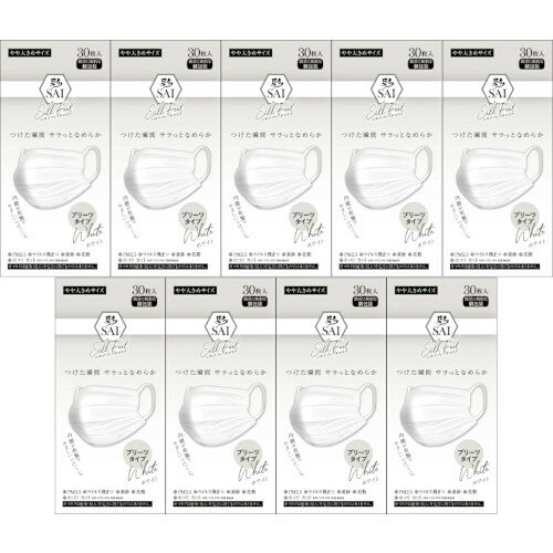 彩シルクプリーツマスクやや大きめホ...