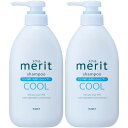 【2個セット】メリット リンスのいらないシャンプークールタイプ ポンプ 450ml(4901301448965-2)