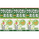 ウラジロガシ流石粒 240粒【3個セット】(4979654026314-3)