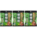 【3個セット】おくすり屋さんの禁煙飴ミント味 70g【メール便】(4971159015862-3)