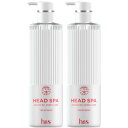 【2個セット】h&s 深ヘッドスパ アドバンスドエイジングケア トリートメント ポンプ 435g(4987176310798-2)