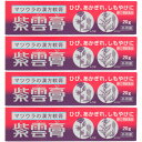 【第2類医薬品】紫雲膏 20g【4個セット】【メール便】(4987457161729-4)