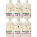 【6個セット】キレイキレイ 薬用ハンドコンディショニングソープ あたたかな木漏れ日の香りシトラス&ラベンダー つめかえ用大型サイズ 700ml(4903301367321-6)(4)