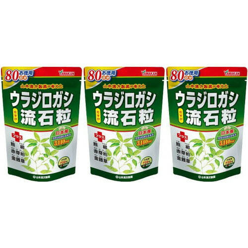 ウラジロガシ流石粒 720粒【3個セット】(4979654028363-3)
