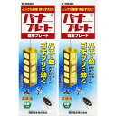 【第1類医薬品】パナプレート 2枚【2個セット】【メール便】(4515307021802-2)