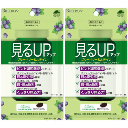 見るアップ ブルーベリー＆ルテイン 40粒【2個セット】【メール便】(4903361681450-2)