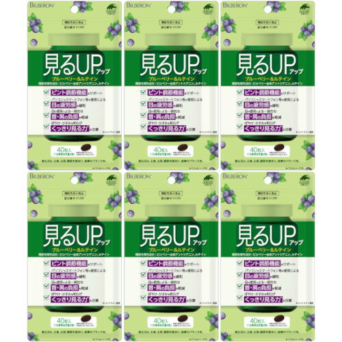 見るアップ ブルーベリー＆ルテイン 40粒【6個セット】【メール便】(4903361681450-6)