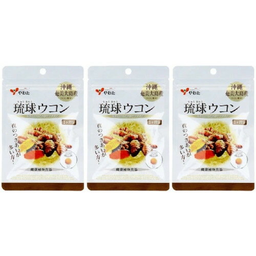 琉球ウコン 90粒【3個セット】【メール便】(4980901211407-3)
