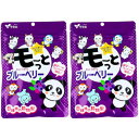 モーっとブルーベリー 40粒【2個セット】【メール便】(4980901213142-2)