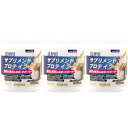 【3個セット】アルミオ サプリメント プロテイン ボトル 300g(4977697115118-3)