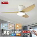 【2025新登場】\5年間の製品保証/★レビュー特典★シーリングファンライト LED シーリングファン 付き照明 シーリングライト 北欧 電気 6畳 8畳 10...