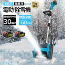 電動除雪機 除雪機 充電式 コードレス除雪機 雪かき 電動 スコップ 家庭用 除雪機 除雪幅30cm 3.0AH 21V バッテリー 除雪器具 電動除雪スコップ ショベル 雪かきスコップ 小型除雪機 除雪用品 シャベル 軽量 便利 雪かき用 スコップ 雪飛ばし 投雪 庭 駐車場