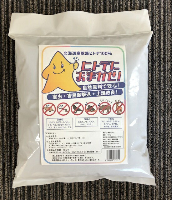 【送料無料／飛翔昆虫駆除剤：コバエ対策】■ ムシパンチM300 24本セット チョウバエ・コバエ用駆除ムース業務用（スプレー式ムース剤）300ml