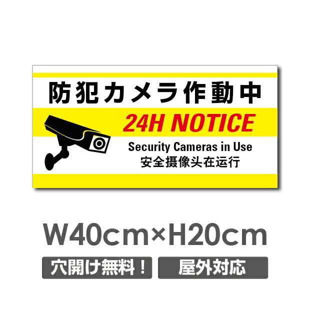 W400mm×H200mm 防犯『防犯カメラ作動中』視線でドキ！ 看板 プレート看板 防犯カメラ 監視カメラ 通報 カメラ作動中 カメラ カメラ録画中パネル看板 camera-238