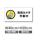W400mm~H200mm hƁwhƃJ쓮xŃhLI Ŕ v[gŔ hƃJ ĎJ ʕ J쓮 J J^撆plŔ camera-255