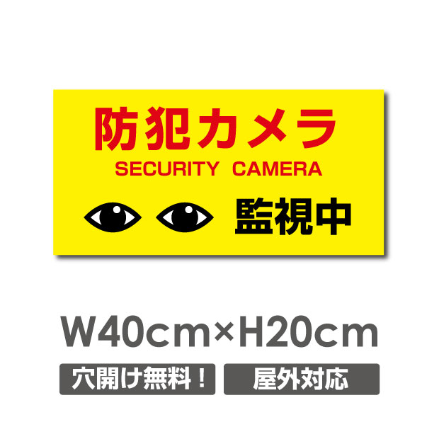 W400mm×H200mm 『防犯カメラ監視中』防犯カメラ作動中 警報機設置 視線でドキ！ 看板 プレート看板 防犯カメラ 監視カメラ 通報 カメラ作動中 カメラ カメラ録画中パネル看板／camera-267