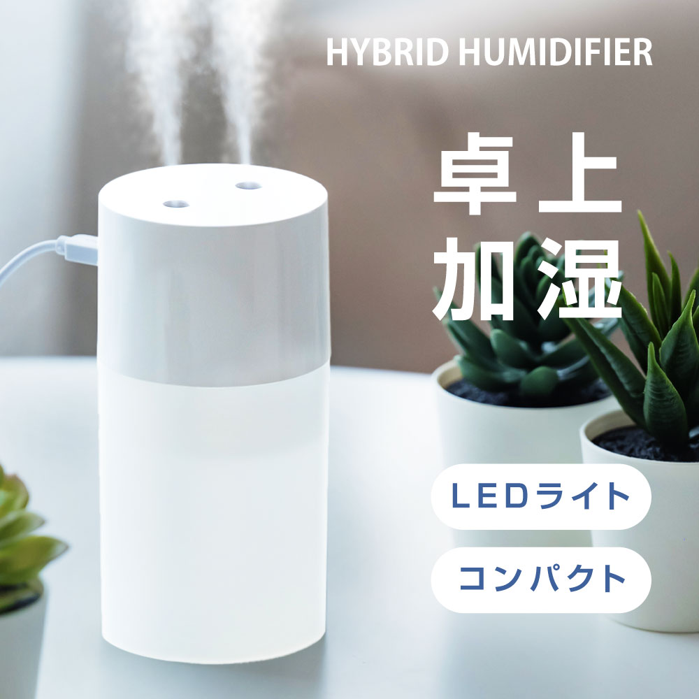 超音波 卓上加湿器 ミニ加湿器 2吹出口 軽量 静音 USB充電式 透明タンク 270ml 乾燥対策 持ち運び 自宅 オフィス 車…